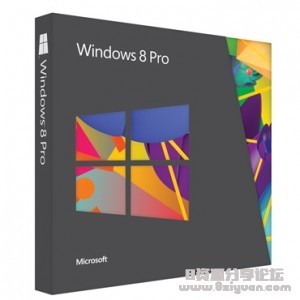Windows-8-300x300.jpg