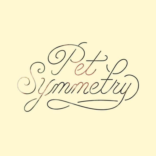 Pet Symmetry – Vision