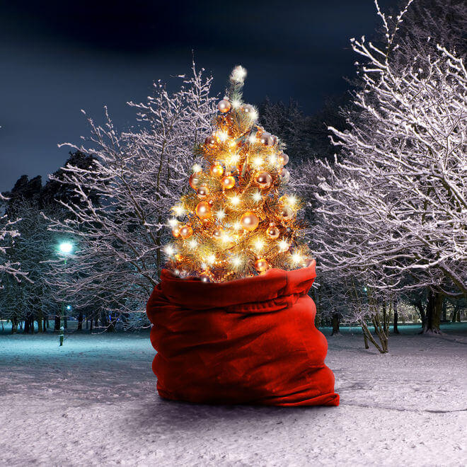 WHITE ASH – The Best Nightmare For Xmas