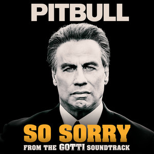 Pitbull – So Sorry (《高蒂传》电影插曲)