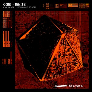 K-391/Alan Walker (艾伦·沃克)/Julie Bergan/승리 (胜利) – Ignite (Remixes)