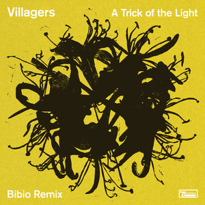 Villagers – A Trick of the Light (Bibio Remix)
