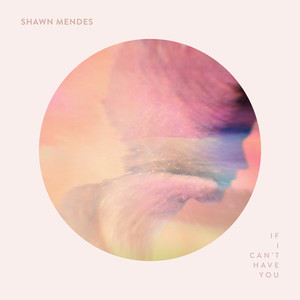 Shawn Mendes – If I Can't Have You