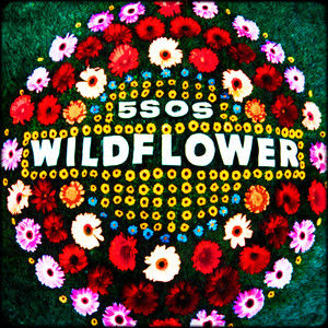 5 Seconds of Summer – Wildflower