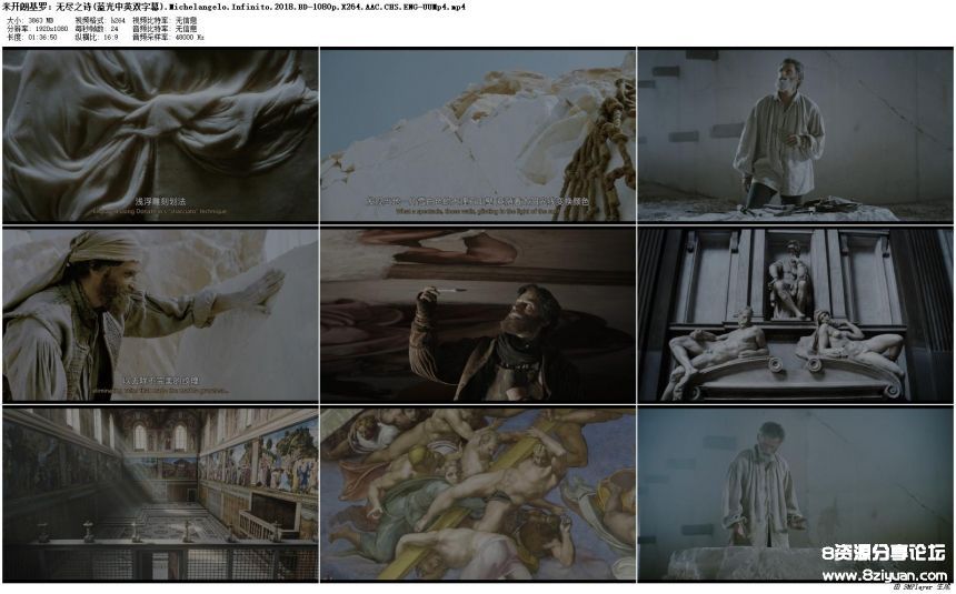 .Michelangelo.Infinito.2018.BD-1080p.X264.AAC.CHS.ENG-UUMp4_preview.jpg