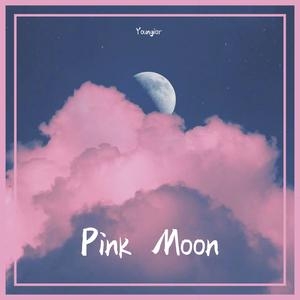 Youngior – 粉色星球