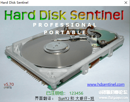 Hard Disk Sentinel Pro  (6).png