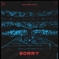 Alan Walker – Sorry
