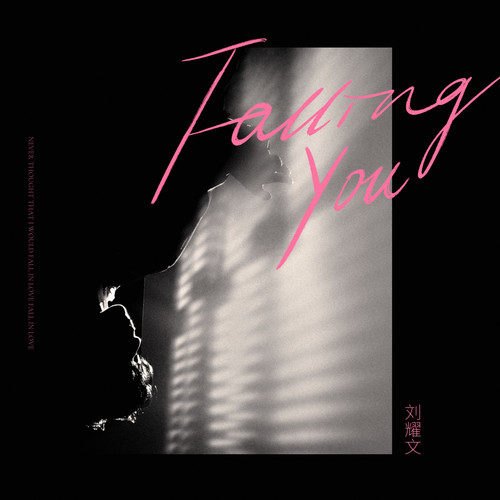 刘耀文 – Falling You